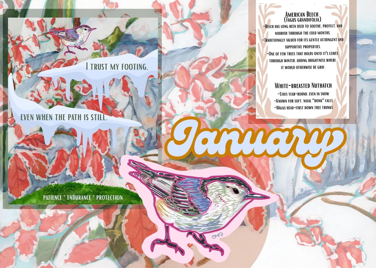 Wild & Wonder Art Subscription