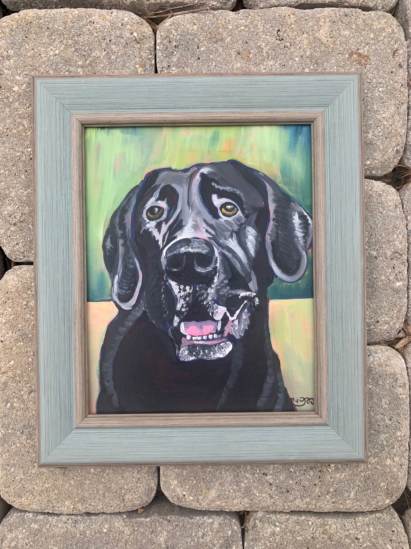 Pet Commissions