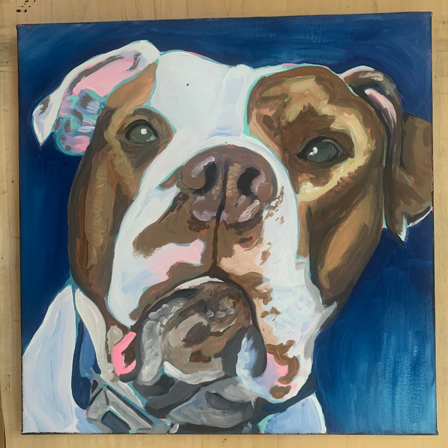 Pet Commissions
