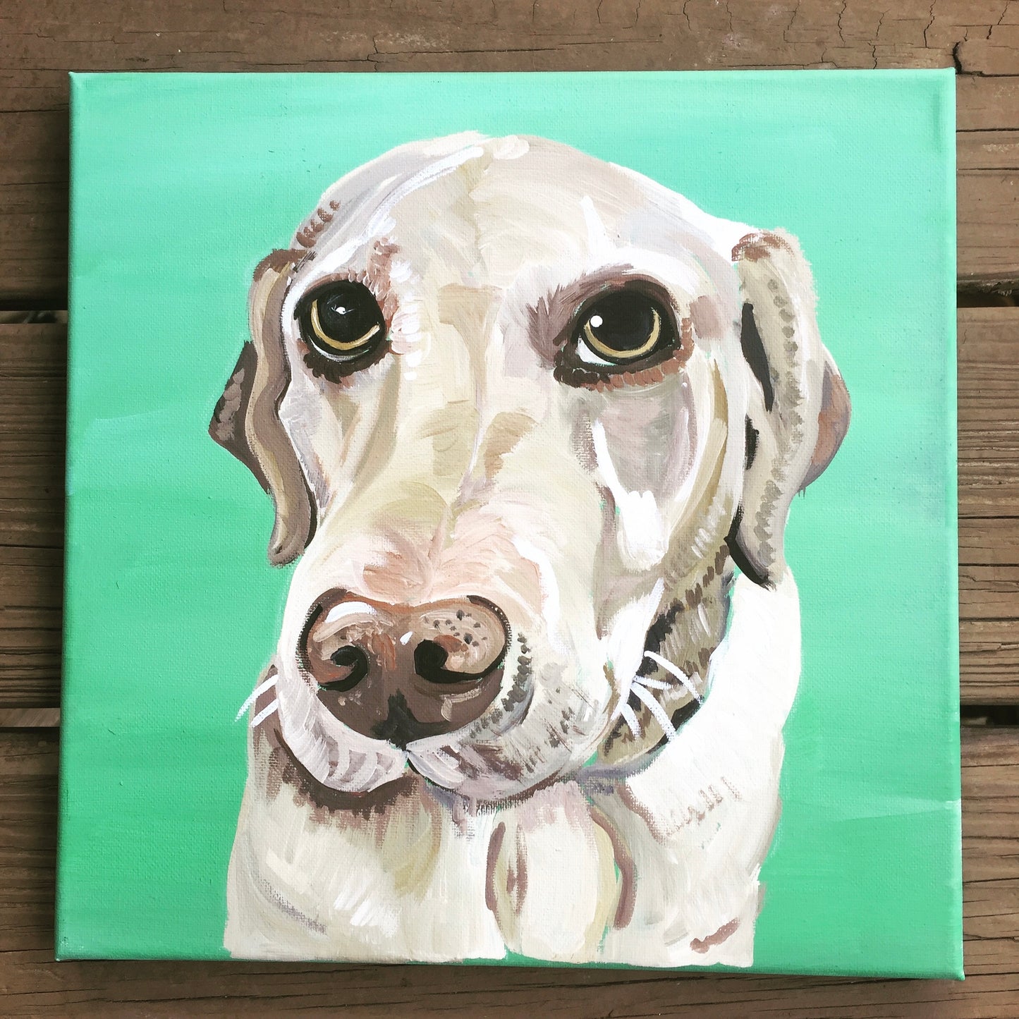 Pet Commissions