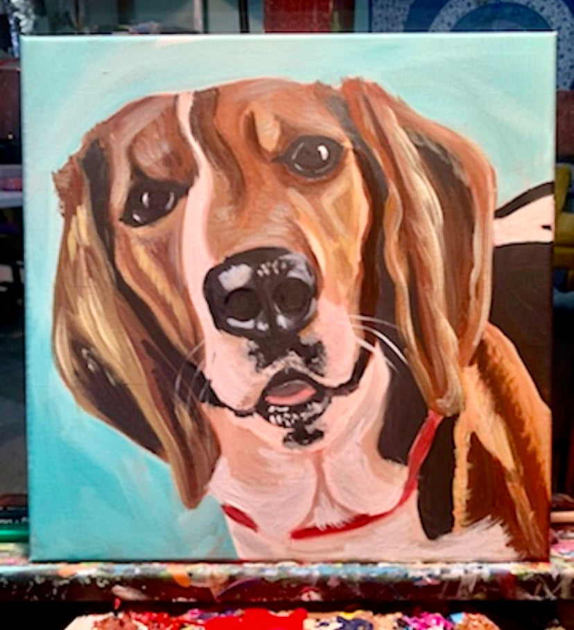 Pet Commissions