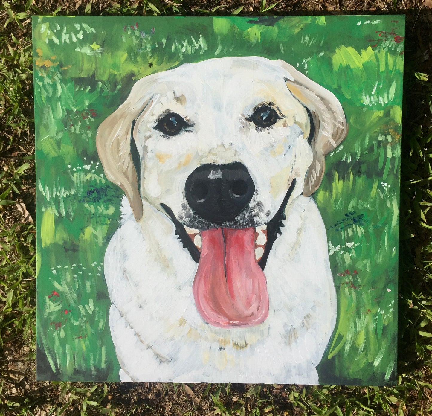 Pet Commissions