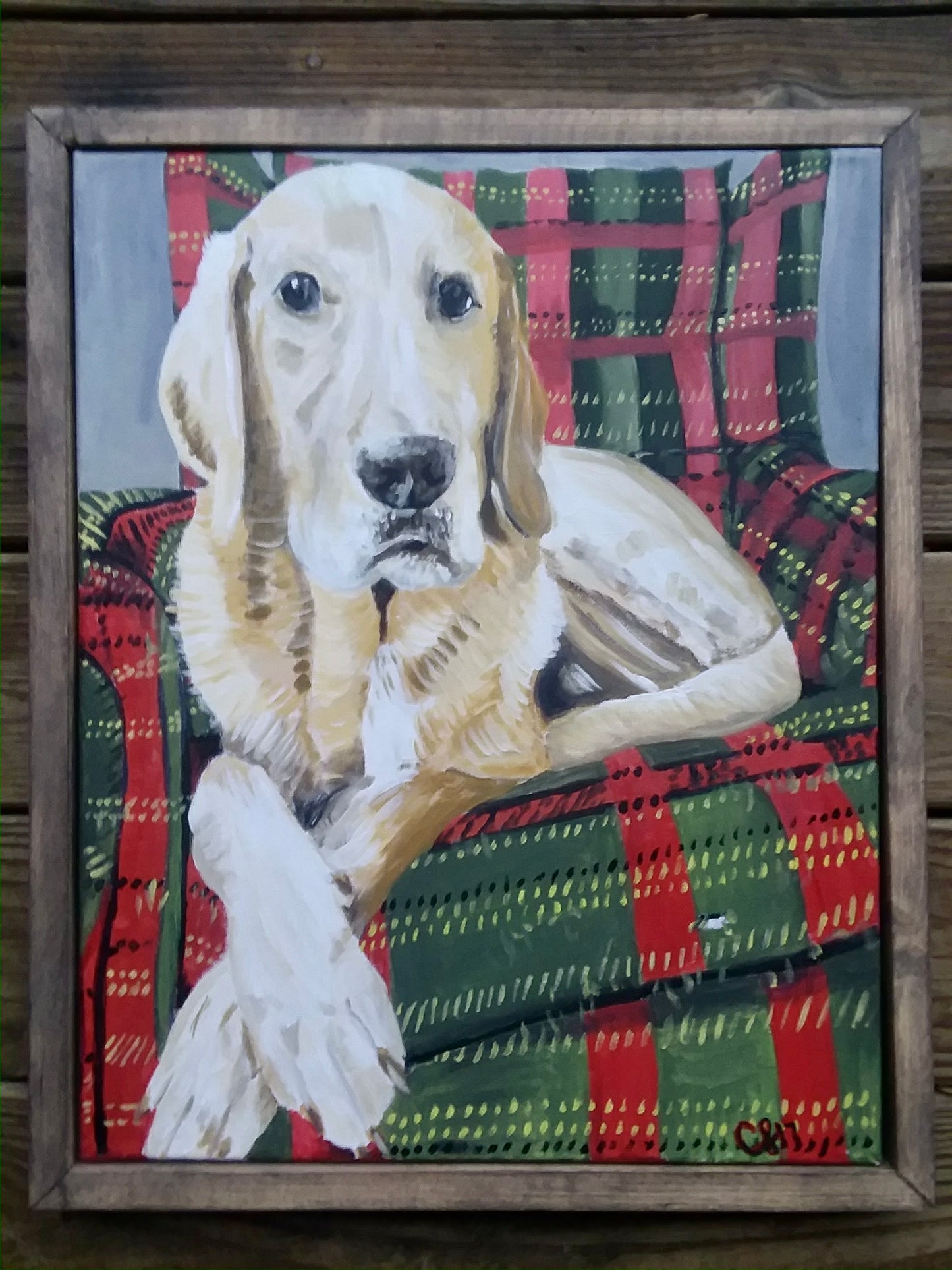 Pet Commissions