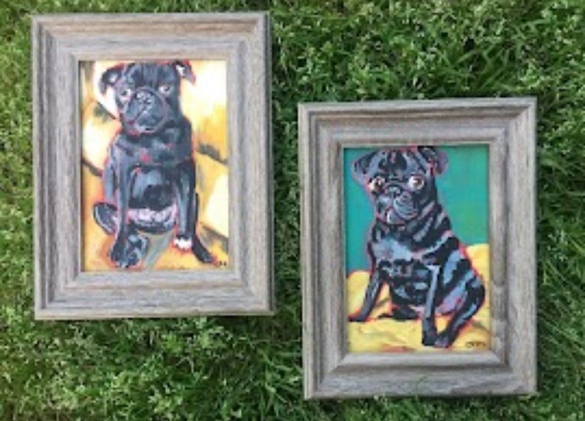 Pet Commissions