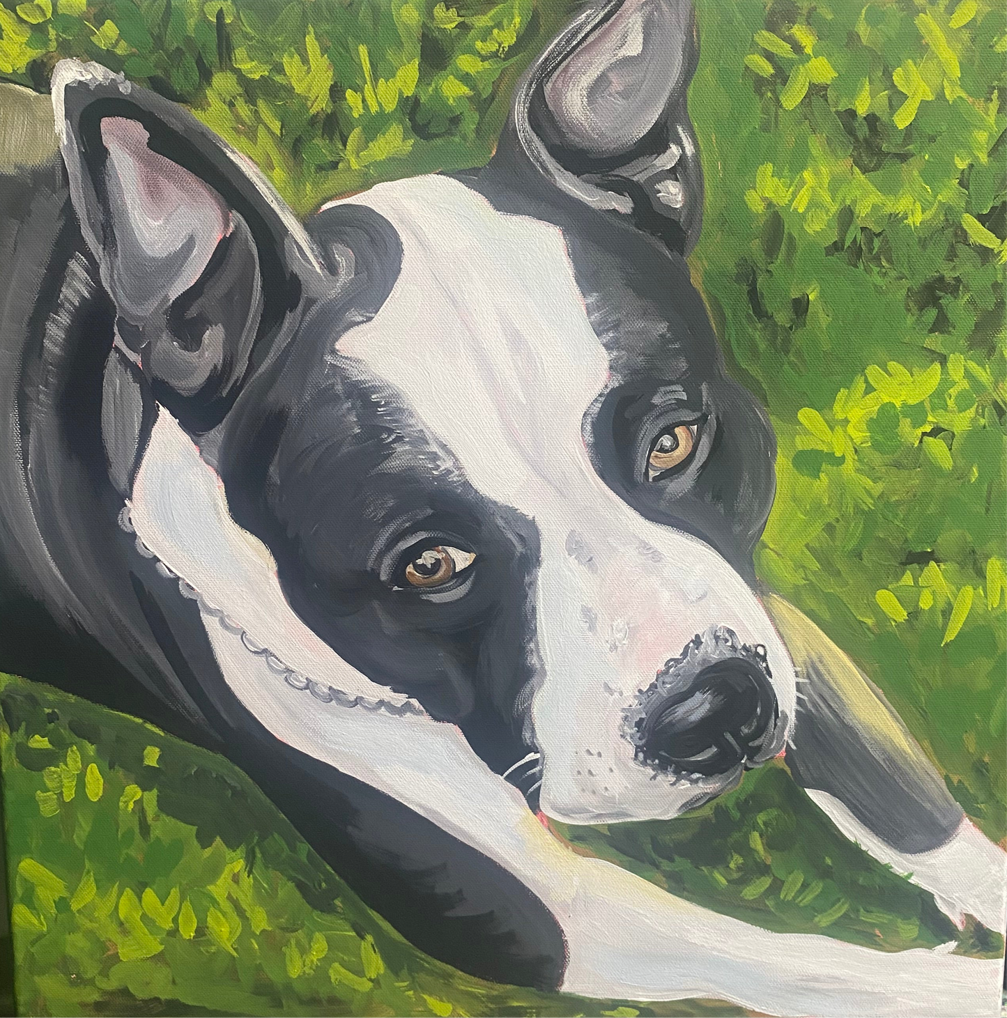 Pet Commissions